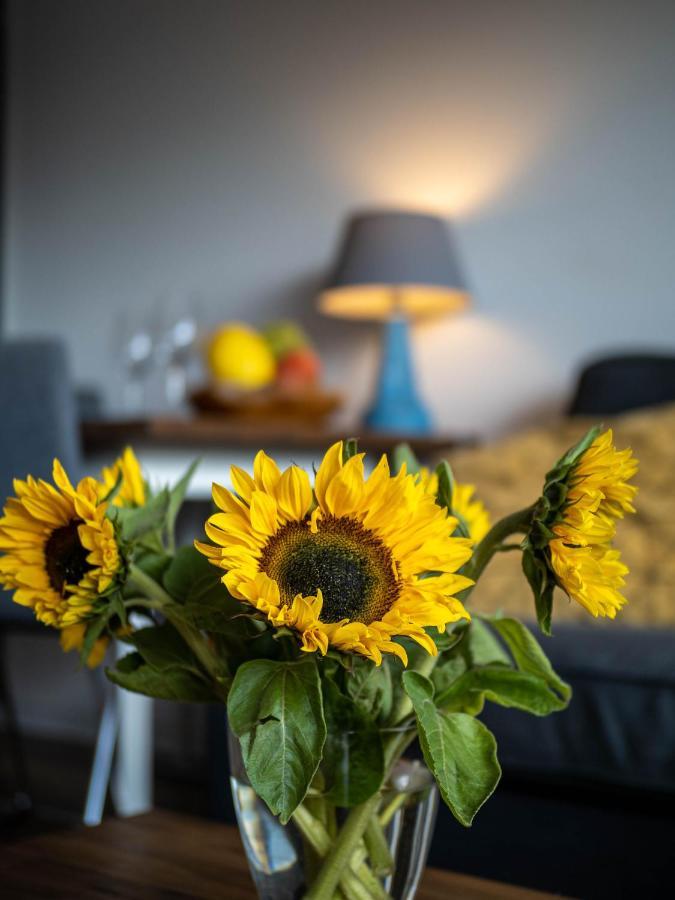 Ferienwohnung Abendsonne Wenningstedt-Braderup ภายนอก รูปภาพ